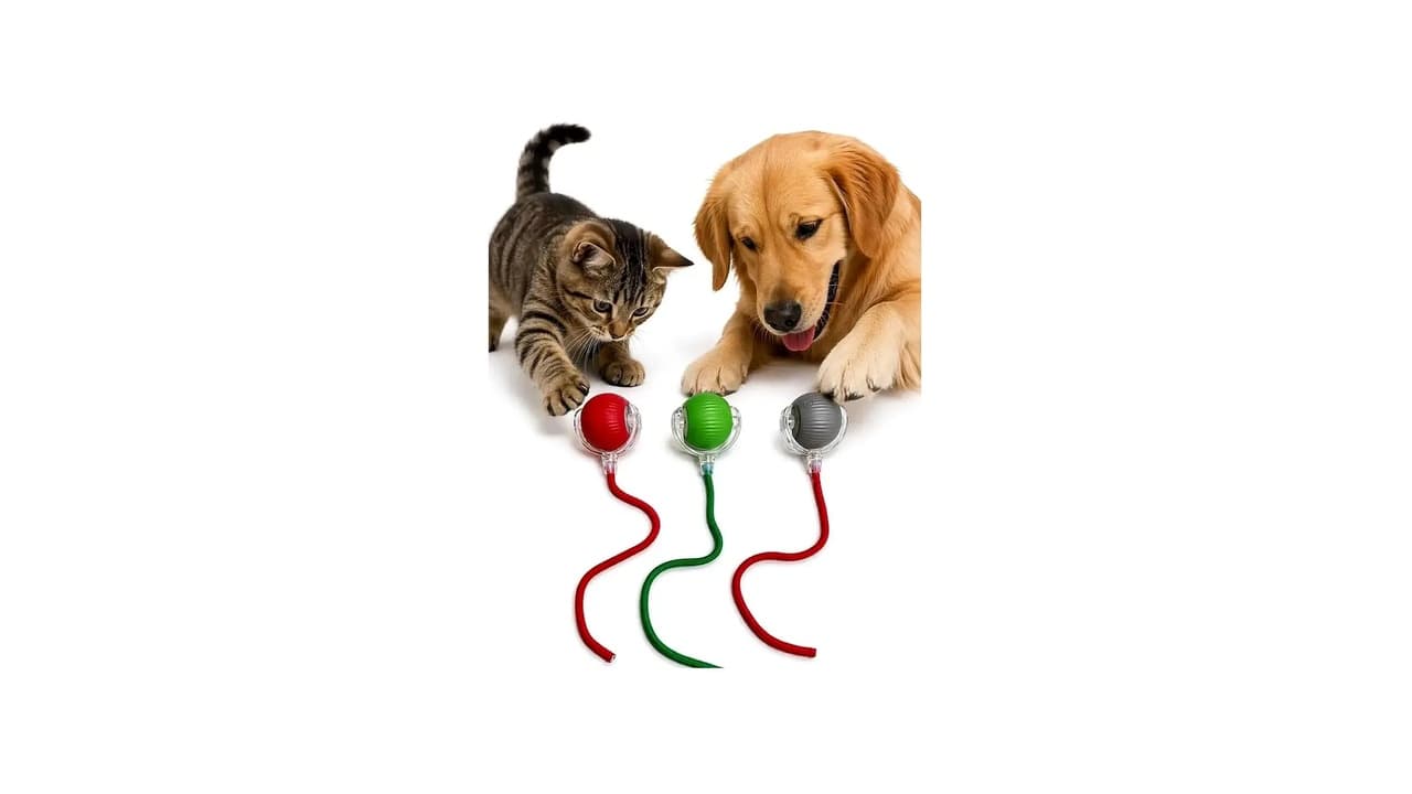 Melhor Brinquedo para Cachorro que Fica Sozinho: 7 Opções que Reduzem a Ansiedade