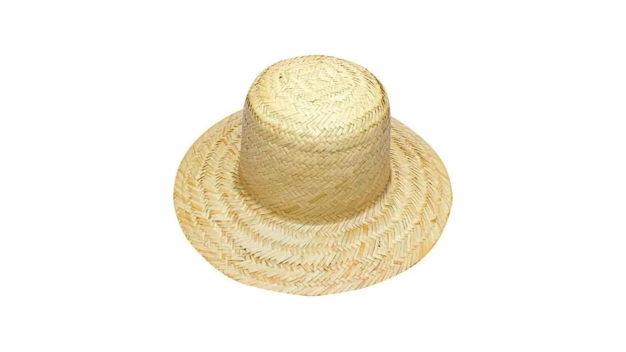 Melhor Chapéu de Palha: 7 Modelos para Sol, Praia e Tradição!