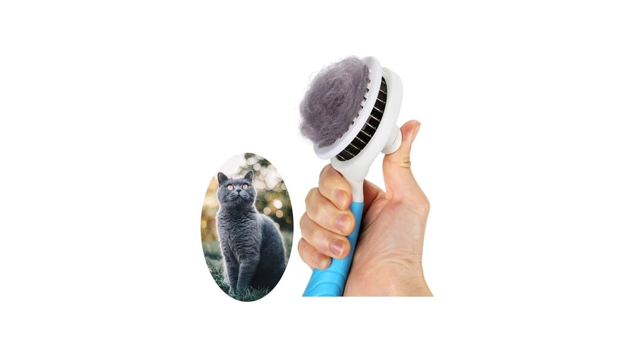 Melhor Escova Para Gato: 8 Modelos que Reduzem Pelos Soltos e Massageiam