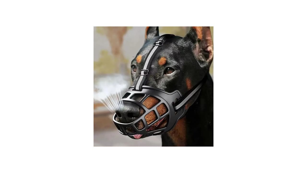 Qual a Melhor Focinheira para Cães? 12 Modelos Testados e Recomendados