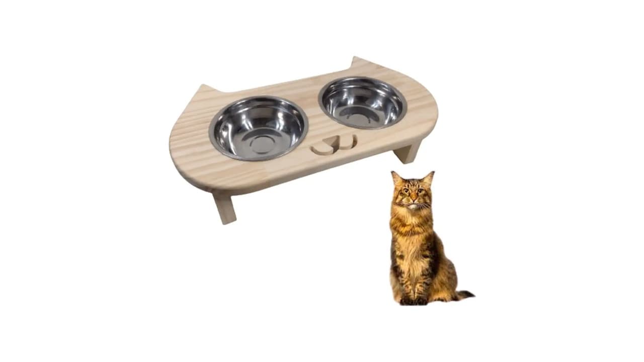 Melhor Vasilha para Gato: 7 Opções Ergonômicas e Antiestresse