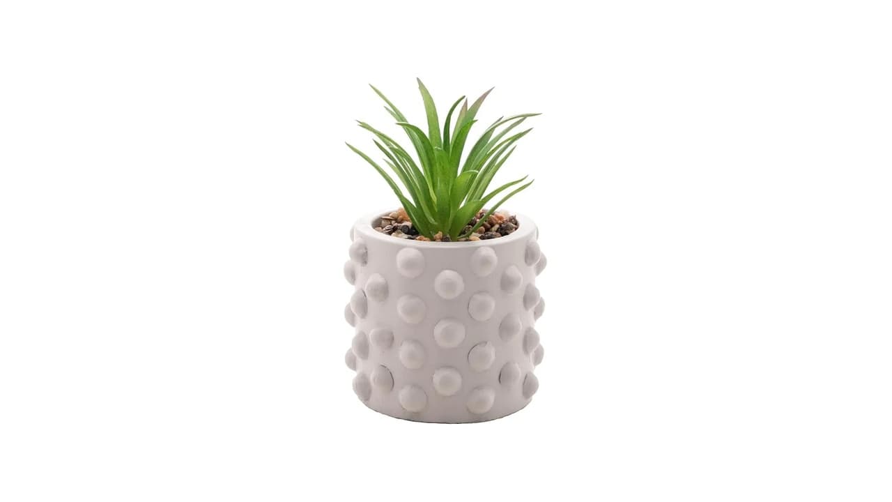 Melhor Vaso para Suculenta: 12 Modelos com Drenagem e Design Moderno