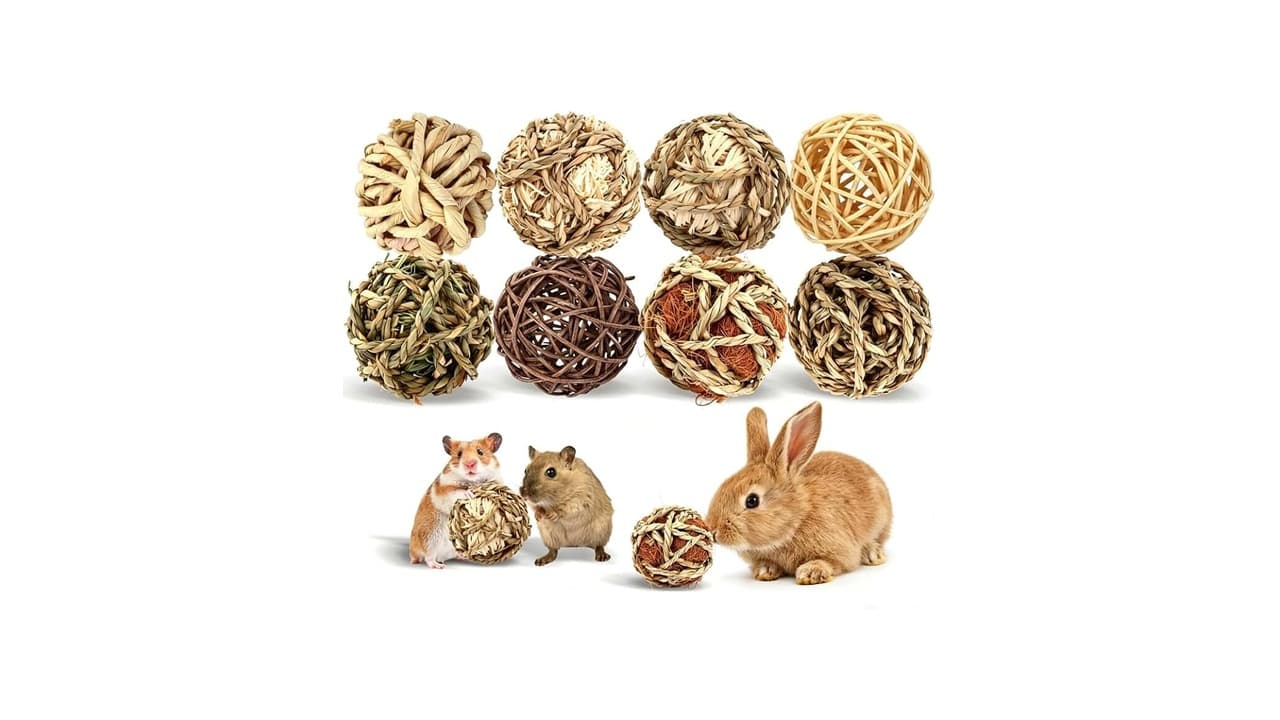 Melhor Brinquedo para Coelho: 10 Opções Seguras e Estimulantes
