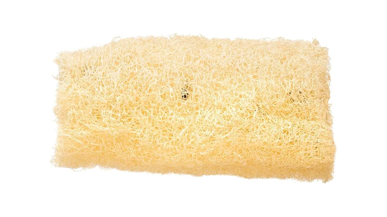 Melhor Bucha Vegetal: 10 Modelos 100% Naturais para Limpeza Sustentável