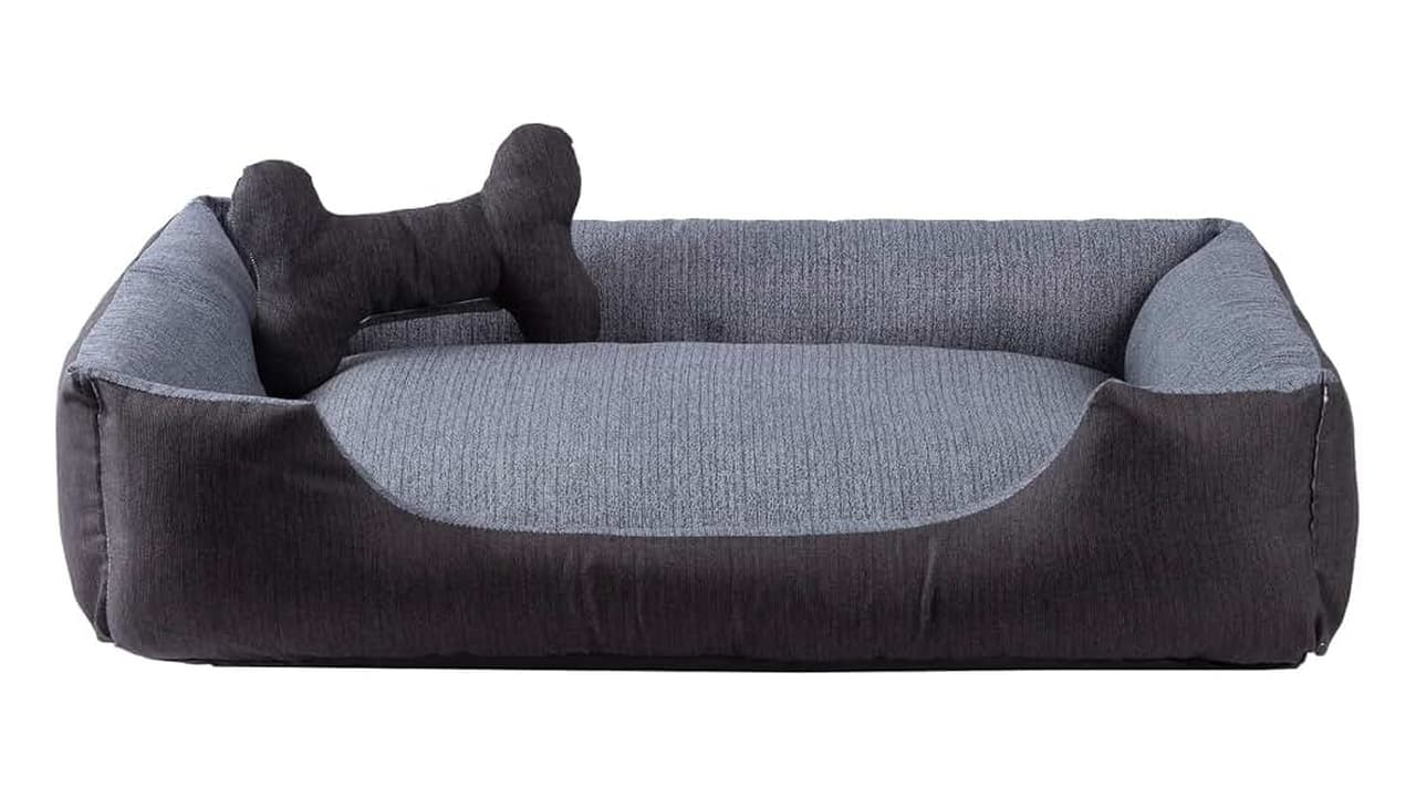 A Melhor Cama para Cachorro: 10 Modelos que Vão Deixar Seu Pet Confortável