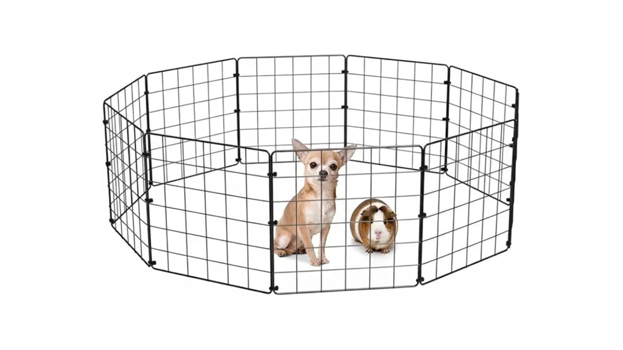 Melhor Cercado para Cachorro: 10 Modelos Seguros e Práticos para Qualquer Espaço