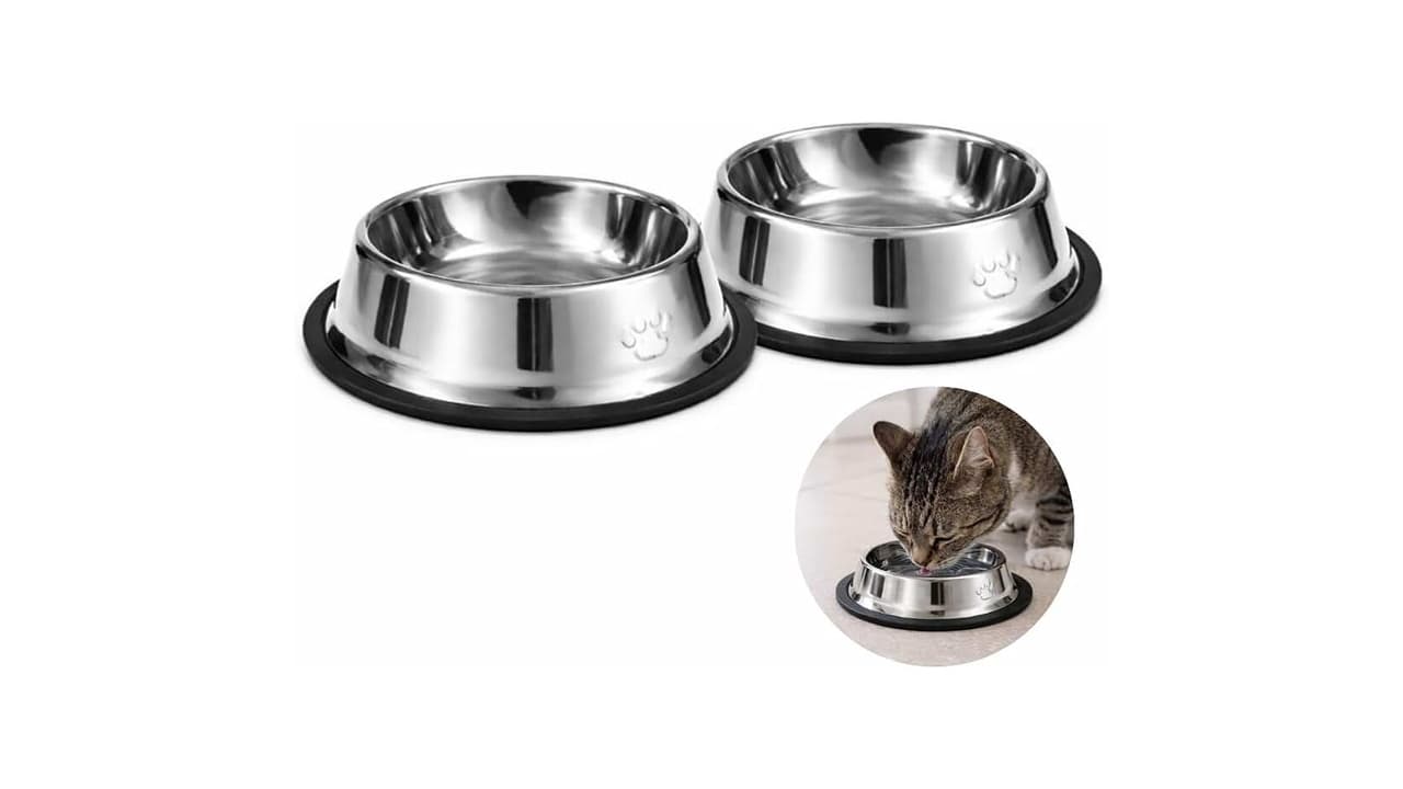 Melhor Comedouro para Cachorro: 8 Modelos que Garantem Higiene e Durabilidade