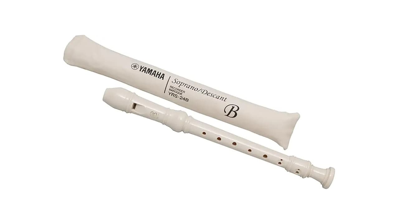 A Melhor Flauta Doce: 8 Modelos Testados para Iniciantes e Avançados