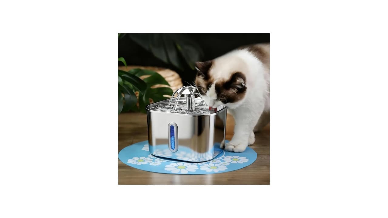 Melhor Fonte de Água Automática para Gato: 7 Opções Silenciosas e Eficientes