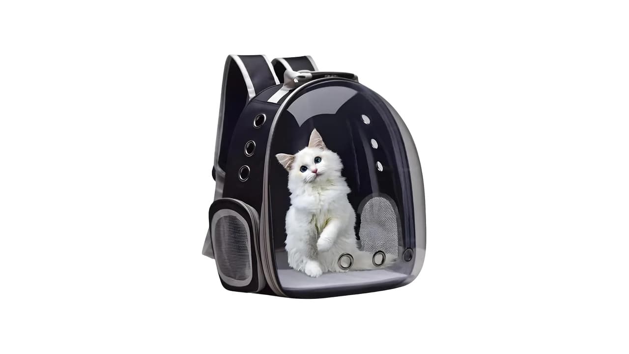 Melhor Mochila Transparente para Gato: 10 Opções Testadas e Aprovadas