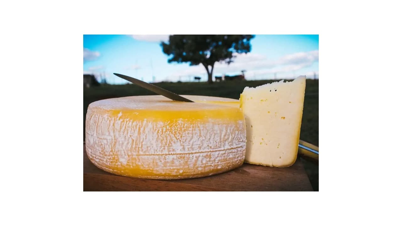 Melhor Queijo de Minas: 10 Opções Artesanais da Serra da Canastra