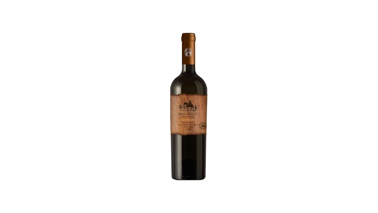 As 10 Melhores Opções de Vinho Tinto Seco para qualquer ocasião