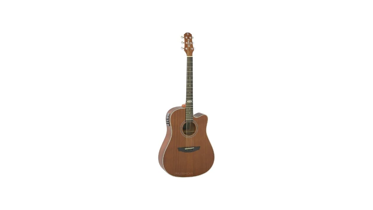 Qual o Melhor Violão Strinberg para Iniciantes e Profissionais?